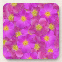 Patrón sin soldadura de Rosa salvaje