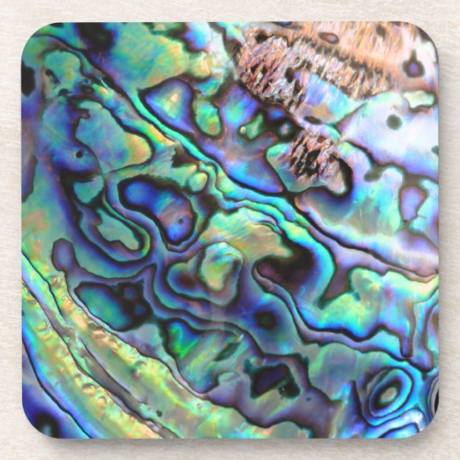 Posavasos Paula abalone shell (Frente)