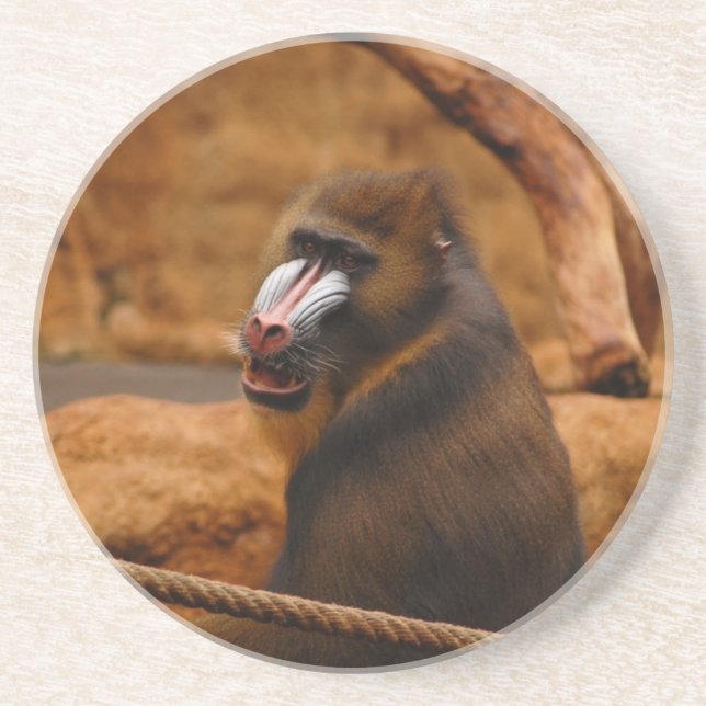 Posavasos Pavian/Baboon (Frente)