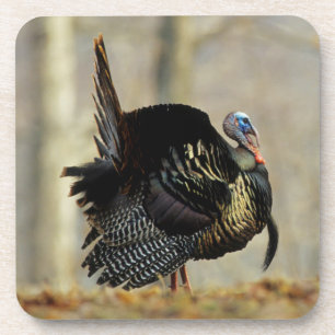 Posavasos Pavo macho pavoneándose, Illinois