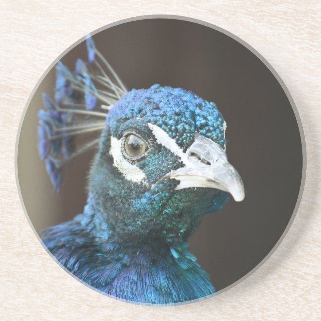 Posavasos pavo real (Frente)