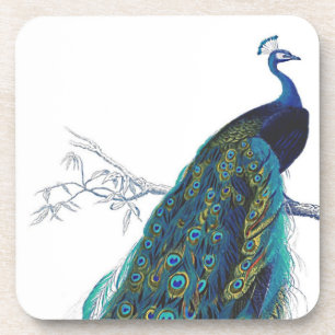 Posavasos Pavo real azul con hermosas plumas de cola