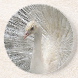 Posavasos Pavo real imperial