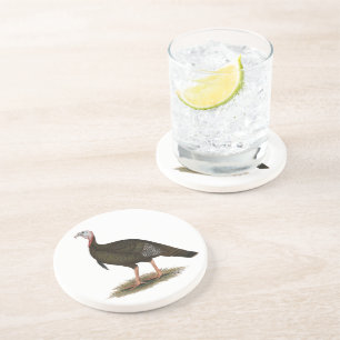 Posavasos Pavo silvestre oriental de Turquía