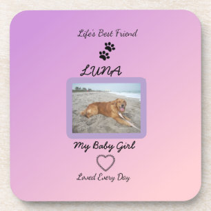 Posavasos Pawprint Mascota Amor Diario