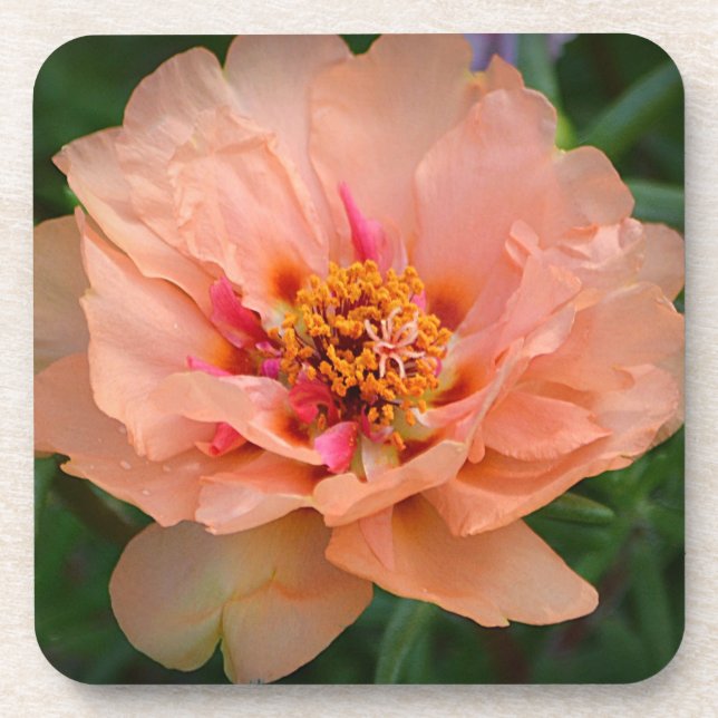 Posavasos Peachy Flower Coaster (Frente)
