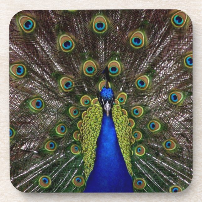 Posavasos Peacock (Frente)
