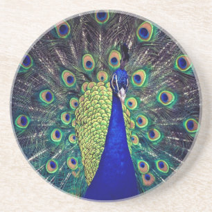 Posavasos Peacock azul cobalto
