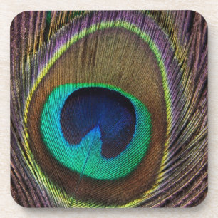 Posavasos Peacock Feather
