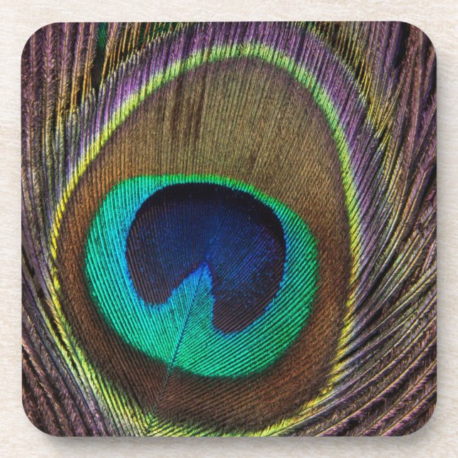 Posavasos Peacock Feather (Frente)