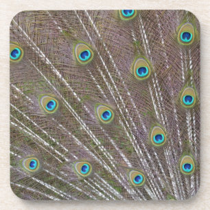 Posavasos Peacock Feathers