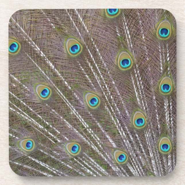 Posavasos Peacock Feathers (Frente)