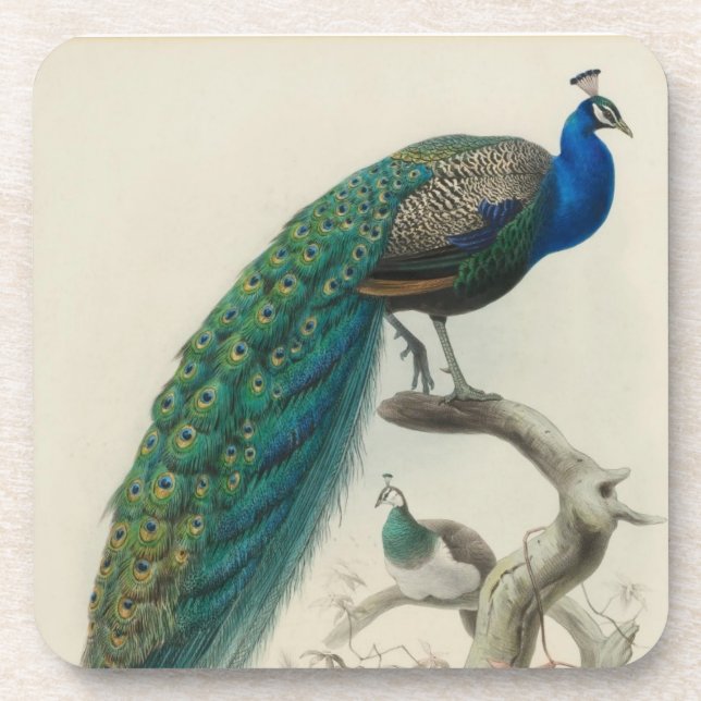 Posavasos Peacock vintage (Frente)