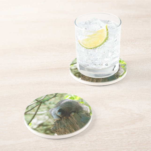 Posavasos Pegatinas de Mapache Durmiente (Lado)