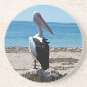 Posavasos Pelícano en roca de la playa,