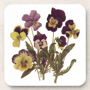 Posavasos Pensamientos Vintage en Flor, Flores de Jardín Flo