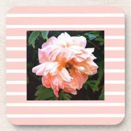 Posavasos Peonía de primavera romántica en franjas de foso