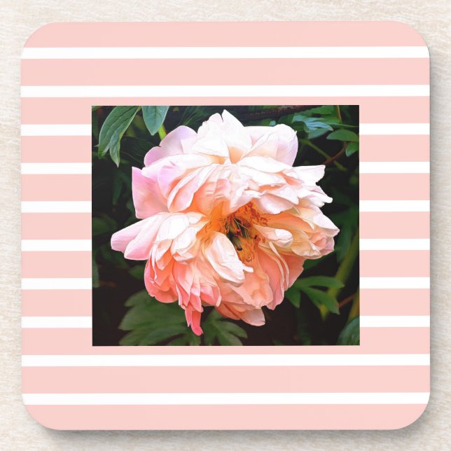 Posavasos Peonía de primavera romántica en franjas de foso (Frente)