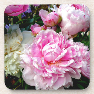 Posavasos Peonias rosas y blancas