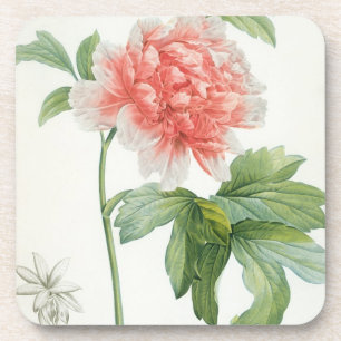 Posavasos Peony, 1799 (impresión del stipple del color)