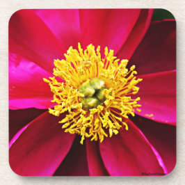 Posavasos Peony Coasters