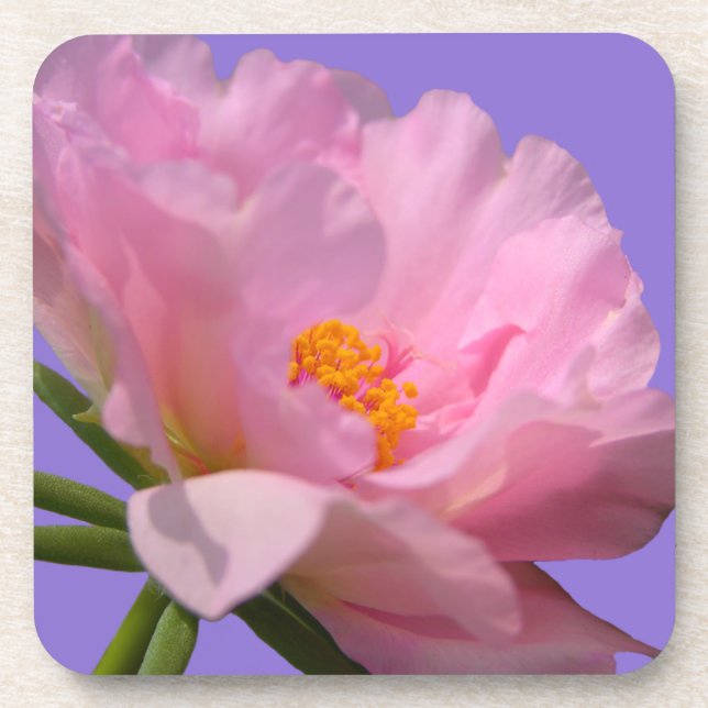 Posavasos Peony Coasters (Frente)