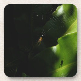 Posavasos Pequeñas Arañas Arañas