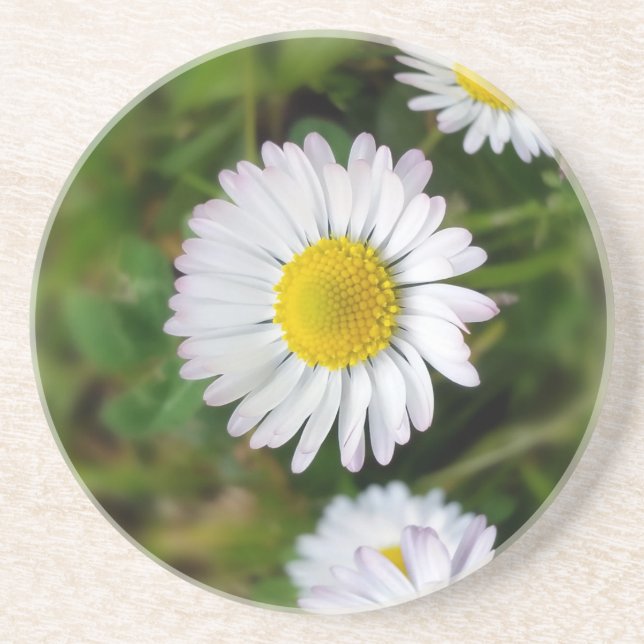 Posavasos Pequeñas margaritas (Frente)