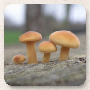 Posavasos Pequeñas Toadstoides Macromontaña De Corcho