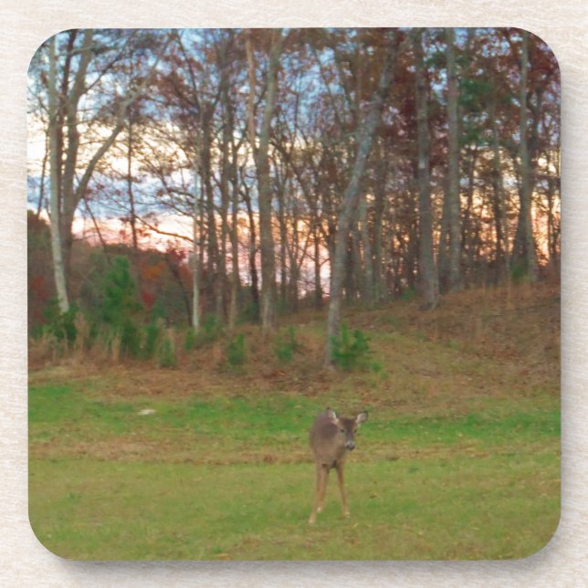 Posavasos Pequeño ciervo y un atardecer rosado (Frente)