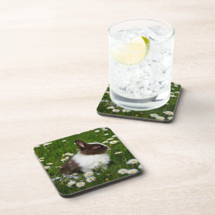 Posavasos Pequeño conejo marrón y blanco en flores
