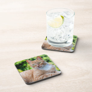 Posavasos Pequeño gatito dulce