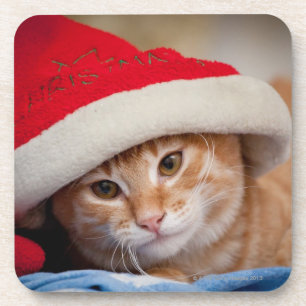 Posavasos Pequeño gatito en gorra rojo del navidad