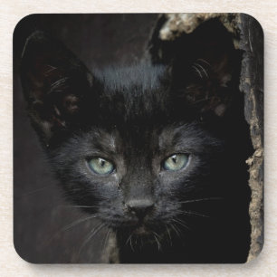 Posavasos Pequeño gatito negro