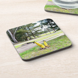 Posavasos Perdido en el jardín otra vez