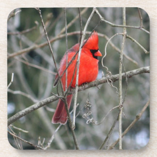 Posavasos Perfil cardinal