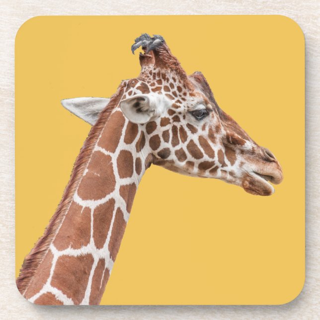 Posavasos Perfil de Giraffe (Frente)
