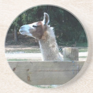 Posavasos Perfil de la llama