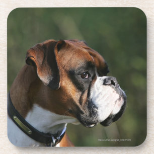 Posavasos Perfil del lado del perro del boxeador