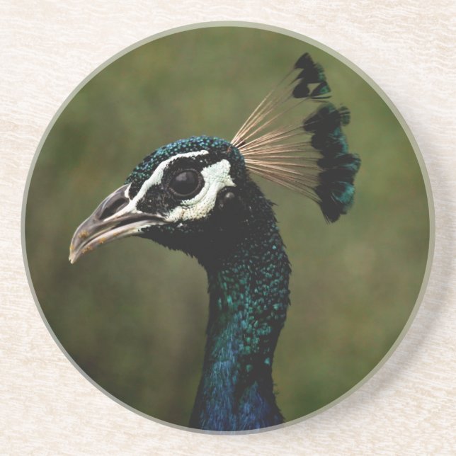 Posavasos Perfil del pavo real (Frente)