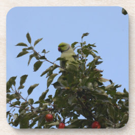 Posavasos Perico Verde