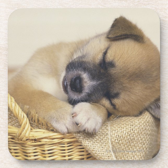 Posavasos Perrito 3 (Frente)