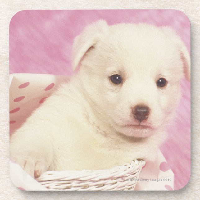 Posavasos Perrito 5 (Frente)