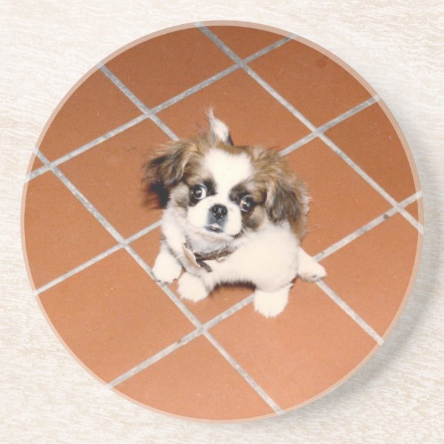 Posavasos Perrito adorable de Peke (Frente)