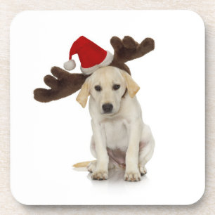 Posavasos Perrito con los oídos del gorra y del reno de