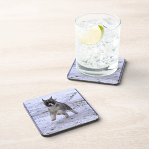 Posavasos Perrito de Akita
