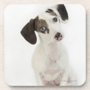 Posavasos Perrito de la hembra del Dachshund/de la chihuahua