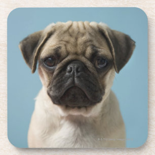 Posavasos Perrito del barro amasado contra fondo azul