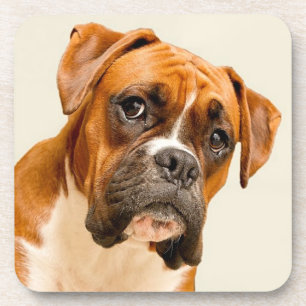 Posavasos Perrito del boxeador en el contexto poner crema de