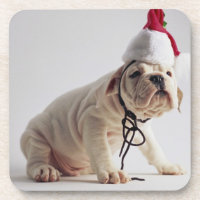 Perrito del bulldog que lleva el gorra de Santa